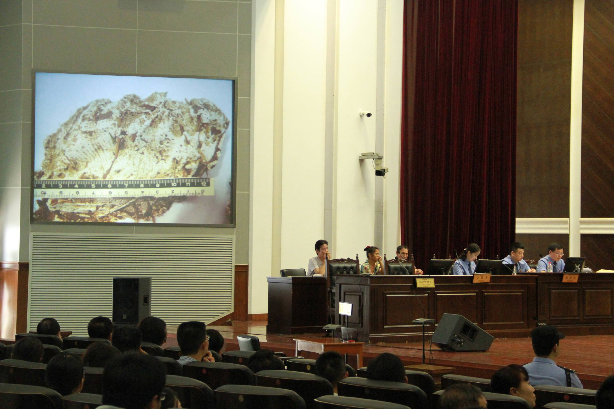 努力适应庭审实质化诉讼制度改革湖北举行刑事抗诉案件庭审观摩