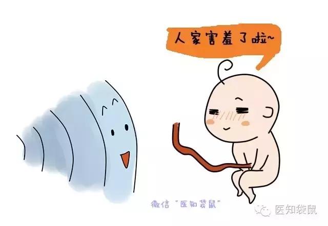 深度解析：普通B超、三维及四维彩超的区别