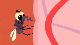 里约奥运会开幕式点燃火炬,里约奥运会拔火罐