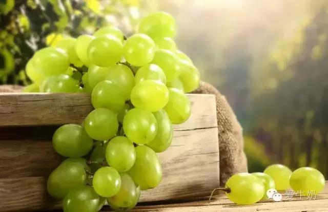 吃葡萄喝牛奶一定会拉肚子吗,牛奶和葡萄一起吃一定会拉肚子吗