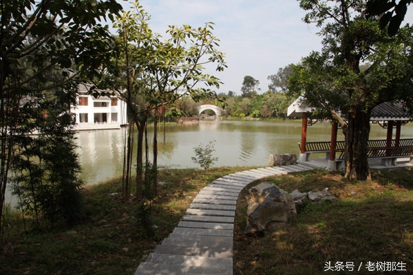 广西南宁狮山公园图,南宁狮山公园景观改造