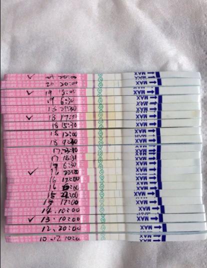 得了盆腔炎感觉没希望了,盆腔炎为啥一直好不了