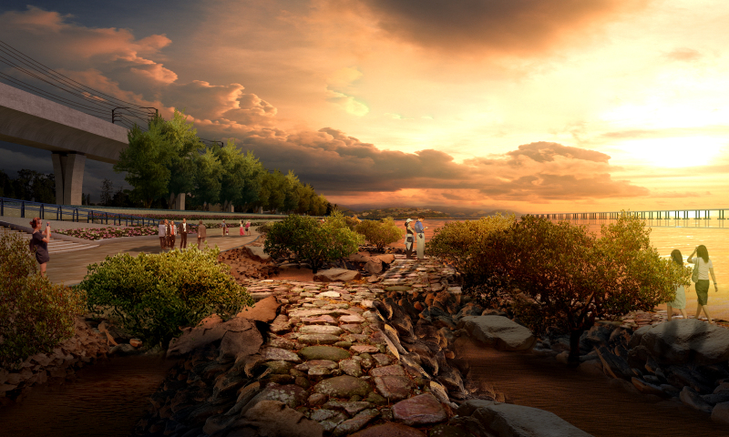 西湾红树林湿地公园滨海长廊,黄岛红树林滨海公园