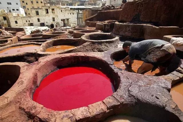 三毛撒哈拉的经典语录,三毛撒哈拉经典语录