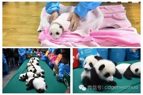 这个暑假值得带孩子去的地方,假期孩子最适合去的地方