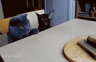 女友故意调皮,女友调皮又很乖