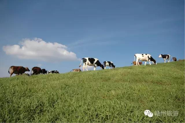 感觉身体被掏空,感觉身体被掏空需要充电