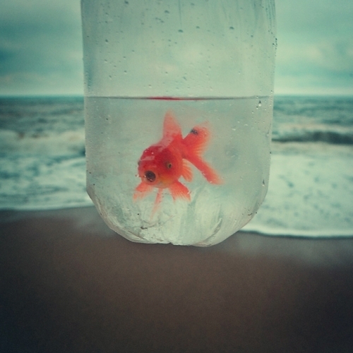 透析口渴很想喝冰水可以吗,透析口渴是怎么回事