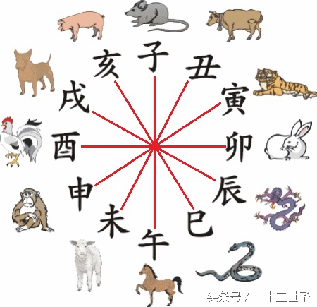 生肖相配是迷信吗,生肖对于婚配有影响吗