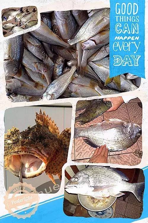 万山岛矶钓钓点,万山岛钓鱼最佳地点