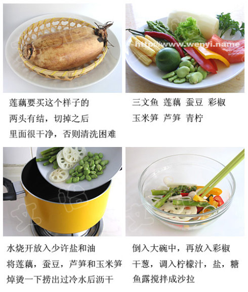 三文鱼冷冻后还可以生吃吗,三文鱼的5种吃法