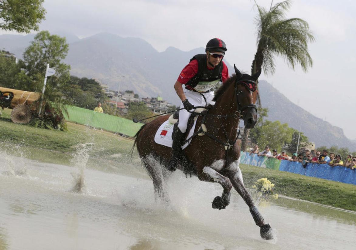 两周花掉20亿！马术的“贵”你懂吗？