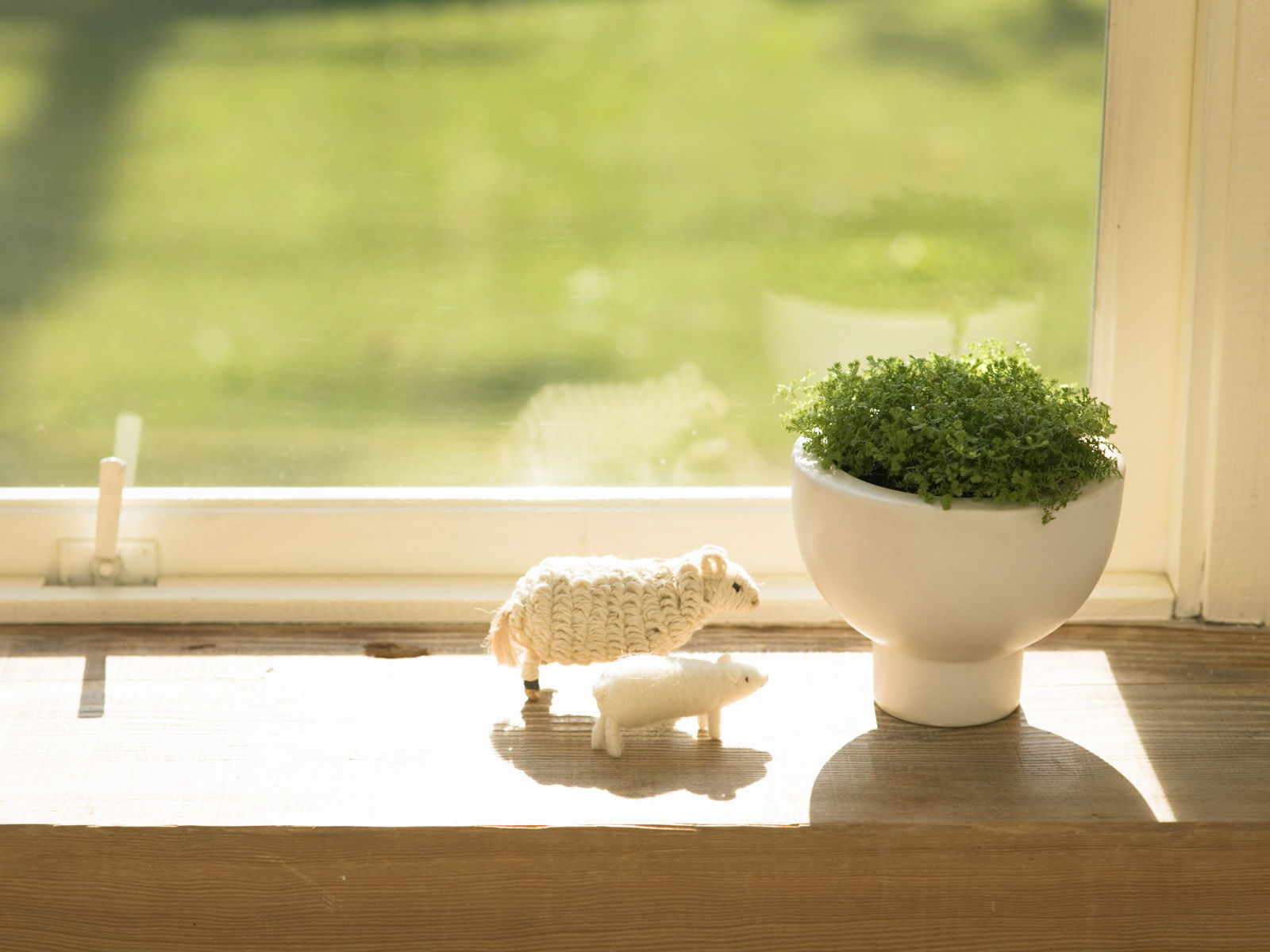 被前女友甩了三年她又回来找我,同居两年的前女友把我甩了