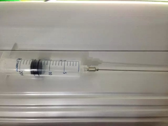 缸里同时长绿藻和黑毛藻,生态缸里为什么长黑毛藻