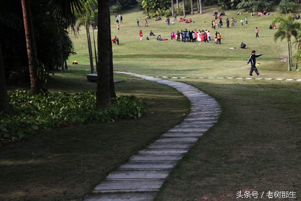 广西南宁狮山公园图,南宁狮山公园景观改造