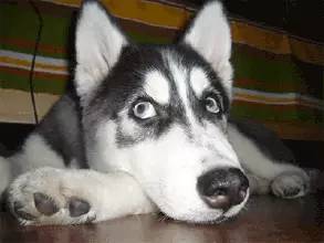 昔日女神操刀卖假货，去黑头只能靠老方法