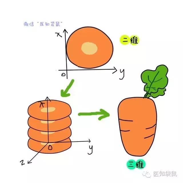 深度解析：普通B超、三维及四维彩超的区别