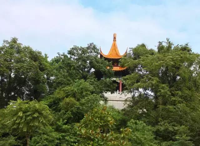 你只听过汉南，却不知道它的传奇！今年的汉南将高不可攀！