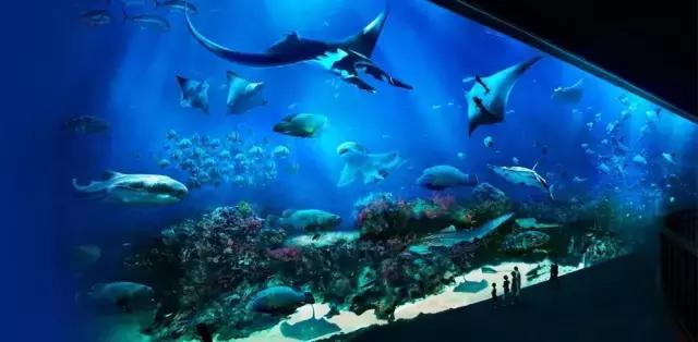 有钱随便旅游,有钱国外旅游