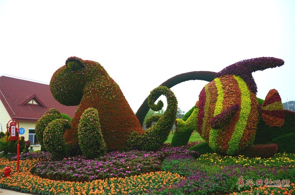 啤酒节2020黄岛,青岛啤酒节无人机表演