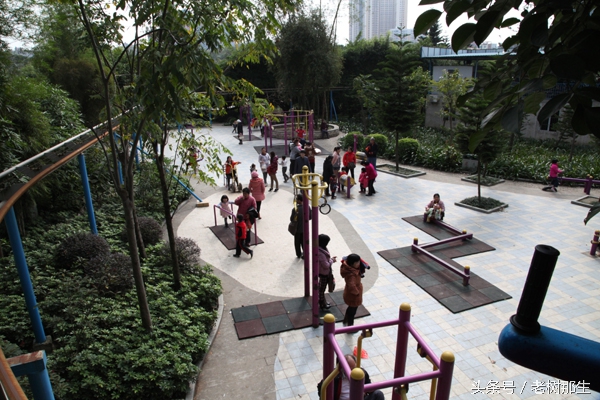 广西南宁狮山公园图,南宁狮山公园景观改造