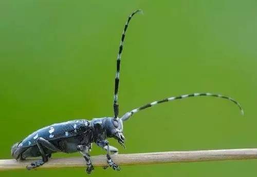 大同老照片图片大全,能看懂的图片
