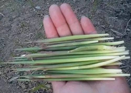 大同老照片图片大全,能看懂的图片