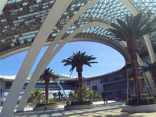 三亚旅行结婚纪念日,小两口结婚纪念日在家过二人世界