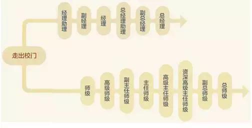 完善培养体系,健全培养体系