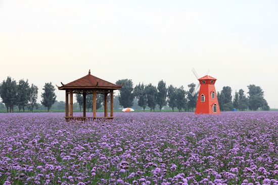 北京情侣约会必去的地方top10,北京情侣约会的最佳地