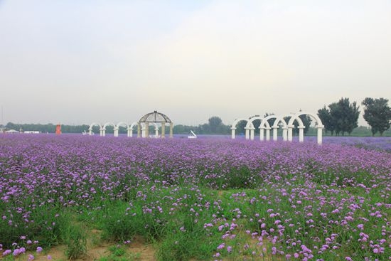 北京情侣约会必去的地方top10,北京情侣约会的最佳地