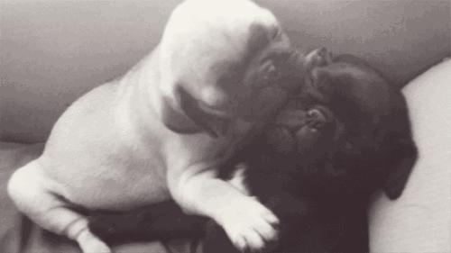 你怎样看待明星直播,明星怎么看待奥运会