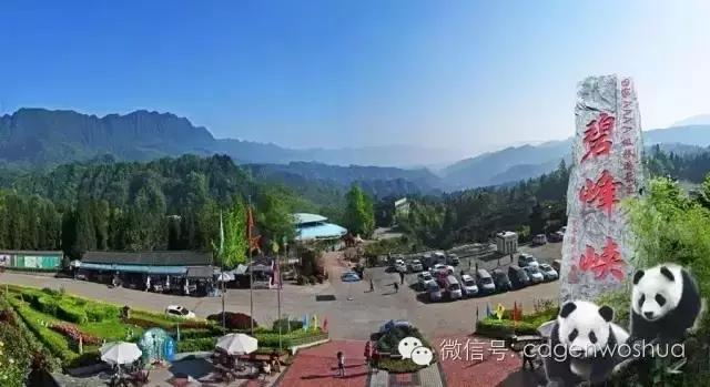 这个暑假值得带孩子去的地方,假期孩子最适合去的地方