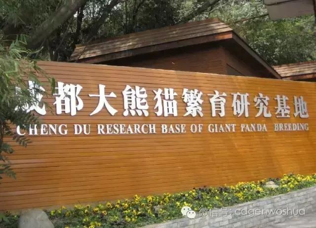 这个暑假值得带孩子去的地方,假期孩子最适合去的地方