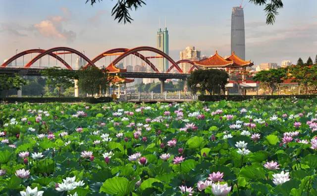 释放体内的“洪荒之力”，罗湖这几个地儿很“燃”！