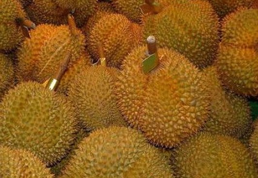 健脾补气，去胃寒，被誉为水果之王，说的就是它