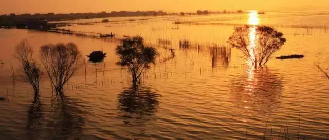 你只听过汉南，却不知道它的传奇！今年的汉南将高不可攀！