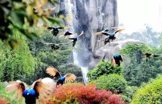 你只听过汉南，却不知道它的传奇！今年的汉南将高不可攀！