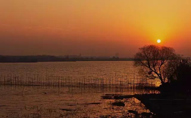 你只听过汉南，却不知道它的传奇！今年的汉南将高不可攀！