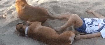 笑一笑：谁还记得这扇窗户，谁还记得这根支撑窗户的棍子