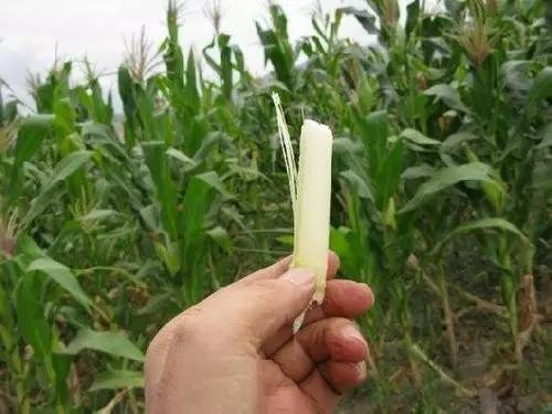 大同老照片图片大全,能看懂的图片