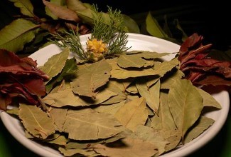 烧烤必备16种调料,烧烤原来如此简单