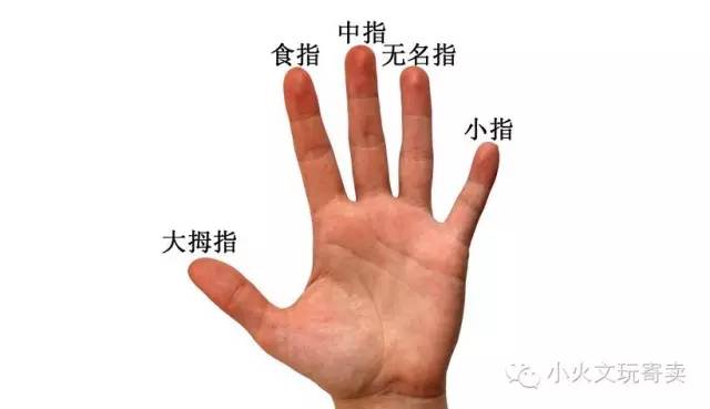 戒指科普,戒指知识科普