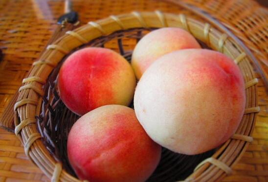 南京栖霞山周边农家乐,南京周边农家乐钓鱼的地方