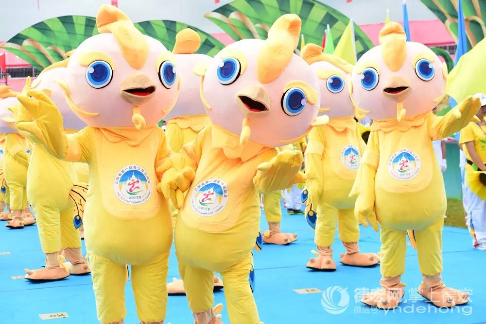 「激情芒市迎来青春赛事」省一青会开幕