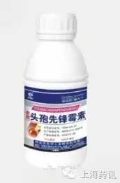 以前使用头孢、青霉素类药物过敏了，现在还能用吗？