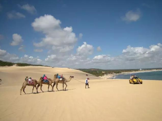 巴西有什么好看的风景,巴西的自然景色