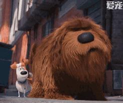 万万没想到！竟然被一群来搞笑的宠物暖哭了