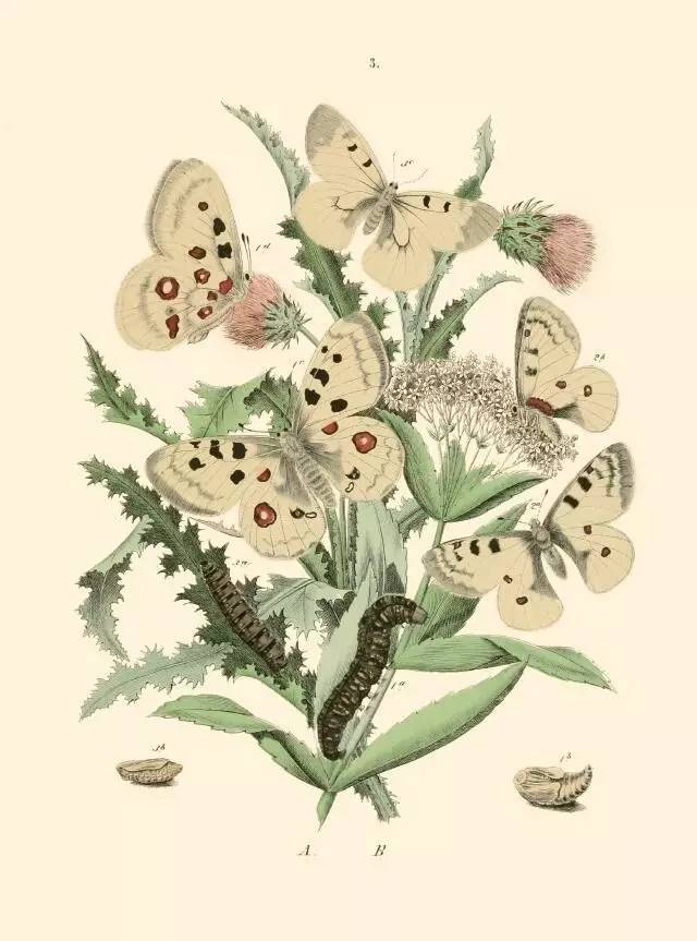 100本必读书单整理图片,100本绘本书单