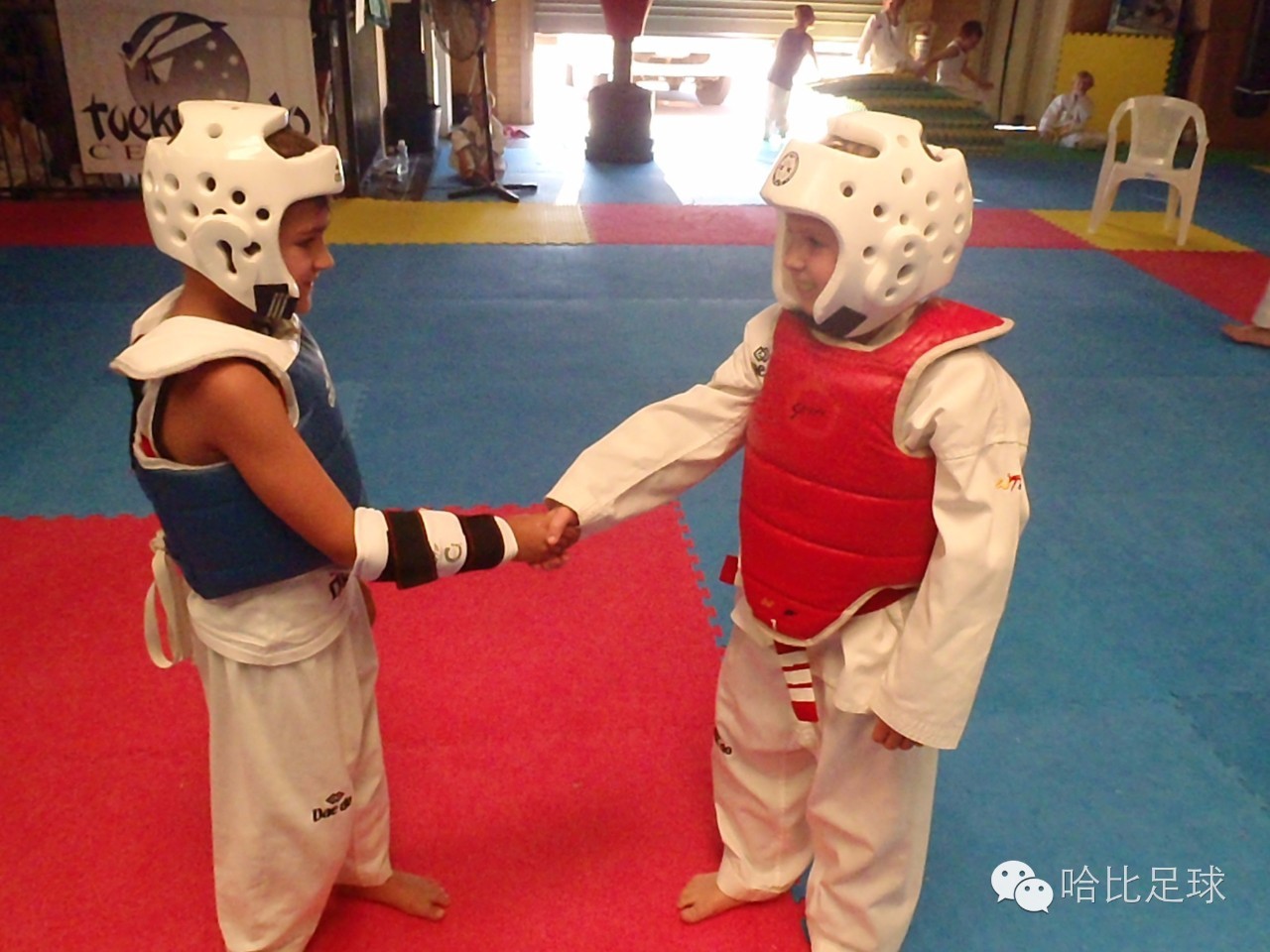 孙杨与霍顿矛盾的8个常识,孙杨霍顿评价